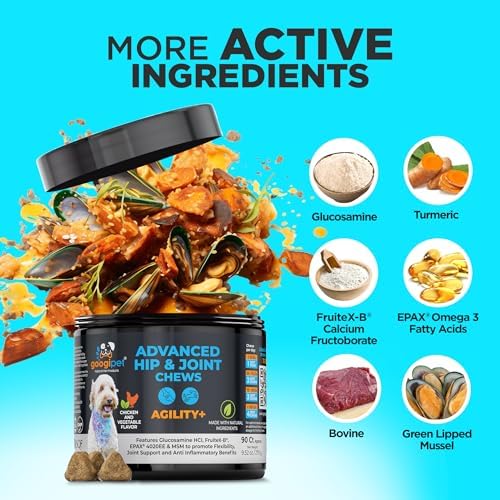 Googipet Premium Hip and Joint Supplement for Dogs - Glucosamine Soft Chews w/Green Lipped Mussels for Dogs, Dog Joint Supplement Turmeric for Mobility, Ages, & Breeds