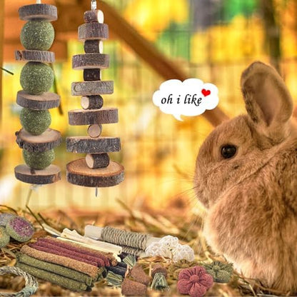 ERKOON 70PCS Rabbit Chew Toys, Natural Timothy Grass Cakes Guinea Pig Toys, Small Animal Teeth Grinding Treats for Bunny Hamster Chinchilla, Safe Dental Care Snacks