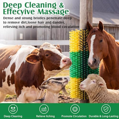 3 Pack Livestock Scratching Brush, Green and Yellow