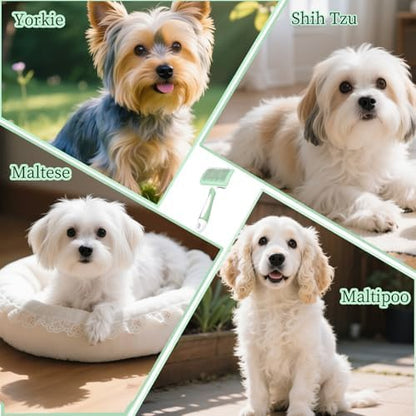 Self Cleaning Slicker Dog Brush for Small Long-Haired Breeds (Green)