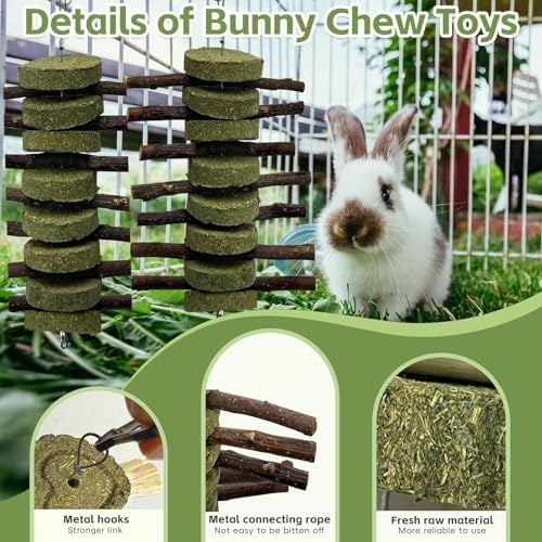 kathson 6 PCS Bunny Chew Toys for Teeth Grinding, Chinchilla Treats Organic Bamboo Sticks Natural Fruitwood Branches for Rabbits Guinea Pigs Hamsters (Fruitwood Sticks+Alfalfa Cakes) (Pack of 2)