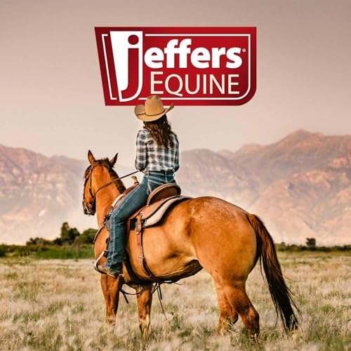 Jeffers Expression Standard Neck Fleece Cooler Horse Blanket, 66" – Lightweight Breathable Polyester Fleece Horse Cooler for Moisture Control, Drying, Layering, All Year Round Use - Bloomin Toolin