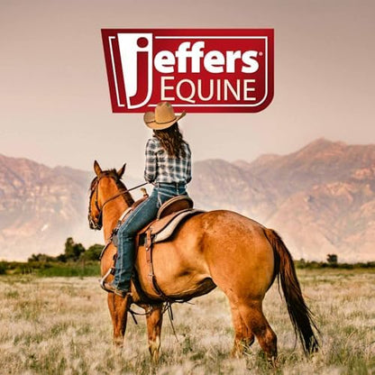 Jeffers Expression Standard Neck Fleece Cooler Horse Blanket, 66" – Lightweight Breathable Polyester Fleece Horse Cooler for Moisture Control, Drying, Layering, All Year Round Use - Bloomin Toolin
