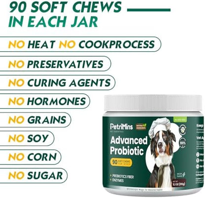 Advanced Probiotic for Dogs, Supports Digestive Health, Immune Health, Gut Health, Improves Nutrient Absorption - Six Strains of Probiotics - Inulin - Enzyme Blend, 90-Count, Bacon