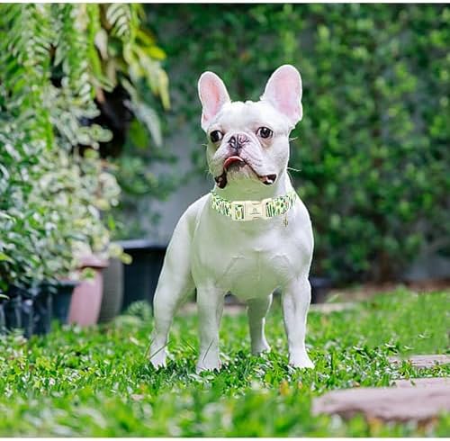 Lionheart glory Dog Collar Green Cactus Print Collar for Small Dogs Spring Summer Female or Male Collars Pets Gift Adjustable Heavy-Duty Cute Pet Collars