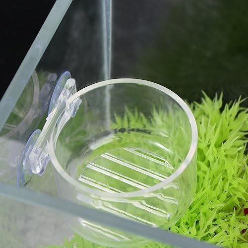 Fish Tank Plant Cup 6PCS Aquarium Growing Cups Acrylic Waterweed Cup Aquarium Decoration Plant Cup Pot with Suction Holder Mini Gardening Vase Feeder