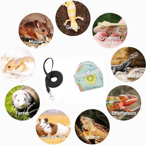 Bearded Dragon Backpack Carrier,Reptile Portable Backpack Carrier with Small Backpack Harness Leash Set,Space Capsule Clear Bubble Window Travel Backpack for Lizard Travel,Guinea Pig,Rabbit