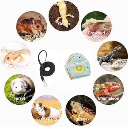 Bearded Dragon Backpack Carrier,Reptile Portable Backpack Carrier with Small Backpack Harness Leash Set,Space Capsule Clear Bubble Window Travel Backpack for Lizard Travel,Guinea Pig,Rabbit