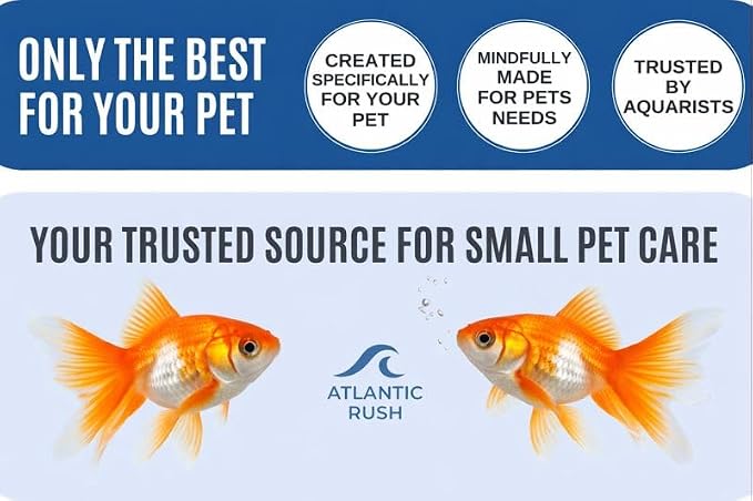 Vacation Feeder for Aquarium - 14 Day Feeder Block - Slow Release Fish Food for Betta, Goldfish & Tropical Fish - Aquatic Pet Tank Food (1 Pack of 2 Blocks)