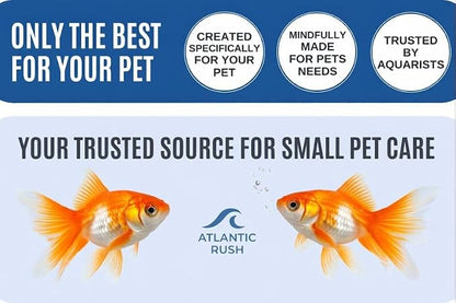 Vacation Feeder for Aquarium - 14 Day Feeder Block - Slow Release Fish Food for Betta, Goldfish & Tropical Fish - Aquatic Pet Tank Food (1 Pack of 2 Blocks)
