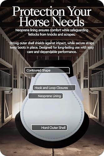 HORZE Chicago Rear Fetlock Boots for Horses, Horse Tendon Boots