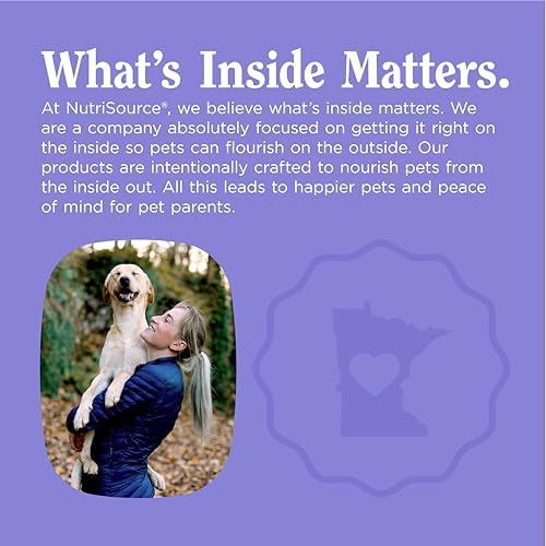 NutriSource AmpliFull Turkey Flavor Calming Dog Soft Chews, Daily Anxiety & Stress Relief Supplement for Dogs, High Absorption for Relaxation, 70 Chews (1 Pack)