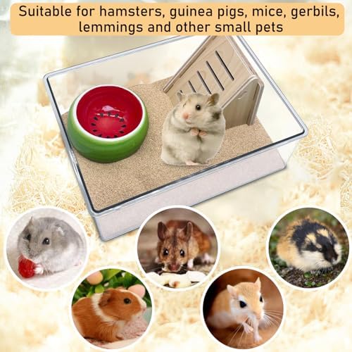 PINVNBY Hamster Sand Bath Box, Transparent Acrylic Shower, Gerbils Digging Room Container with Climbing Ladder and Ceramic Bowl, Litter Box for Hamsters Guinea Pigs Mice (Two Hole)