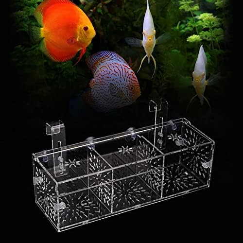Yosoo Health Gear Clear Acrylic Fish Breeding Isolation Box, 30x10x10cm