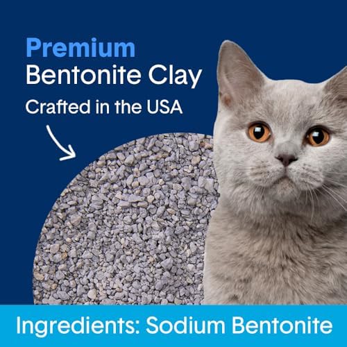 Boxie Premium Unscented Clumping Cat Litter 30+ Day Odor Control 16 lb
