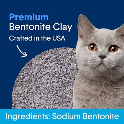 Boxie Premium Unscented Clumping Cat Litter 30+ Day Odor Control 16 lb