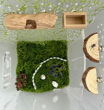 6Pcs Jumping Spider Accessories Set,Tree Jumping Spider Climbing Toy with Cave, Jumping Spider Feeder,2 Wooden Platforms and 2 Green Moss Ribbons,Small Reptile Enclosure Decoration Accessories