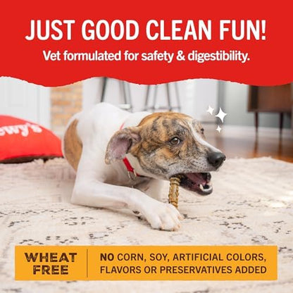 Stella & Chewy's Dental Delights with Freeze-Dried Chicken - Medium Dental Treats for Dogs, 23.2 Ounce Bag