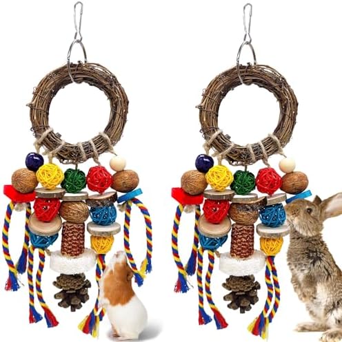 Bunny Chew Treats Toy for Teeth, 2PCS Rabbit Cage Hanging Chew Toys and Rattan Ring with Snack,Natural Material Chinchilla Treats Toys for Guinea Pig Gerbils Hamster Rat Teeth Grinding