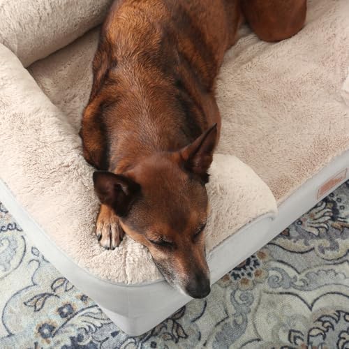 Town & Country Everyday CuddleTown Comfy Solid Bolster Sofa Pet Bed, Supportive & Calming Egg Crate Foam, Non-Slip Bottom, Machine Washable Cover, Grey, Large 35"x25"x8"