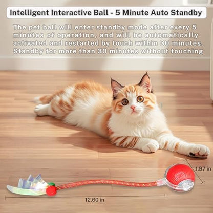 Smart Cat Ball Toy, Interactive & Rechargeable for Daily Play