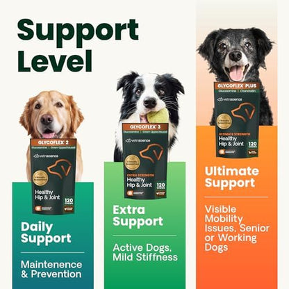 VetriScience Extra Strength Healthy Hip&Joint Chews,GlycoFlex 3,Glucosamine,Green-Lipped Mussel,Joint Support Supplement for Dogs,Promote Mobility&Soothe-Joint Discomfort,Chicken,120 Count (Pack of 2)