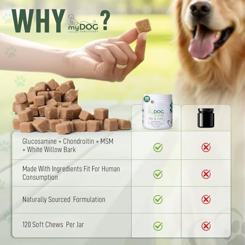 Hip & Joint Supplement for Dogs – 120 Soft Chews, Bacon Flavor | Glucosamine, Chondroitin & MSM for Mobility, Flexibility & Cartilage Support | for All Breeds