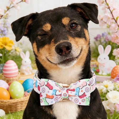 Dog Collars, Easter Colorful Rabbit Print Cotton Collar Holiday Adjustable Light Plastic Buckle Collar with Bow Pet Collar Gift for X-Small Dogs