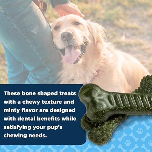 American Kennel Club Small Dentacare Bones, Mint Flavored, 21 Count (Pack of 2)