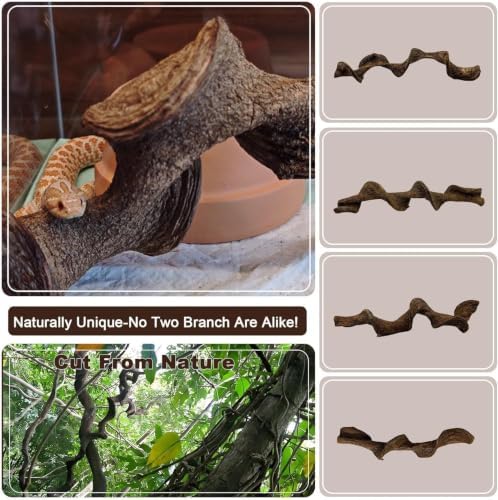 BNOSDM 2PCS Natural Reptile Climbing Branches Decor,0.8-1.2" Thick Snake Climbing Forest Wood with Plant Leaf Decor,Lizard Forest Branch,Geckos Tank Tree Trunk Accessories for Bearded Dragons