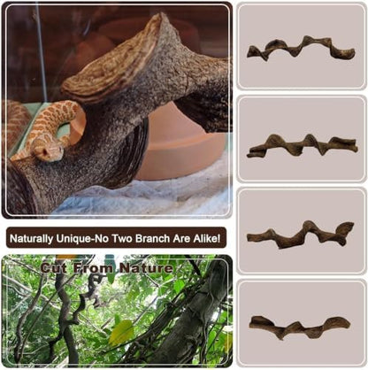 BNOSDM 2PCS Natural Reptile Climbing Branches Decor,0.8-1.2" Thick Snake Climbing Forest Wood with Plant Leaf Decor,Lizard Forest Branch,Geckos Tank Tree Trunk Accessories for Bearded Dragons