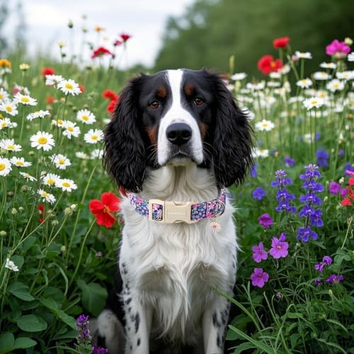 Lionet Paws Floral Dog Collar- Cute Spring Wildflowers Daisy Fleabane Dog Collars with Plastic Buckle, Light Adjustable Dog Collars for Medium Dogs