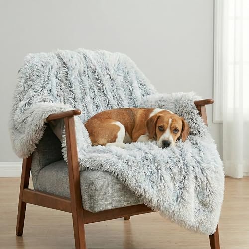 PJYuCien Lightweight and Portable Soft Dog Blanket, 30"x40", Gray