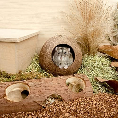 andwe Coconut Hut Hamster House Bed Natural Gerbils Hideout