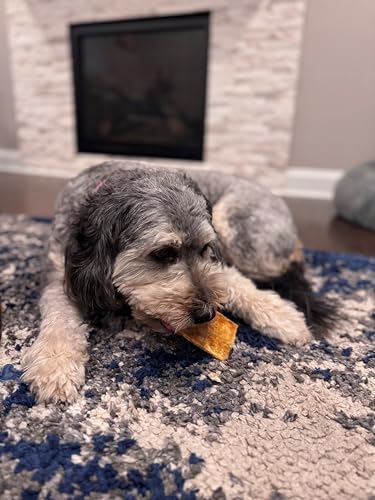 Fieldcrest Farms Nothin to Hide Flip Chips Dog Chews - Natural Rawhide Alternative Treats for Dogs, Collagen Based Snack for Moderate Chewers Up to 35lbs, Beef Flavor