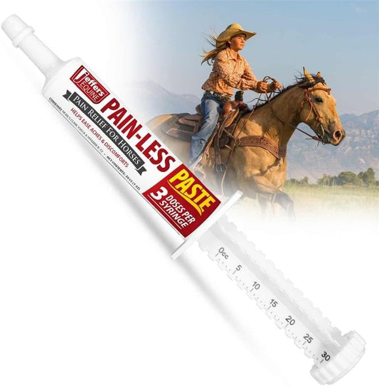 Jeffers Equine Pain Less Paste Horse Supplement – Joint Muscle Comfort & Mobility Support w/Devil’s Claw, Yucca, Vitamin B12, w/Prebiotic for Digestive Nutritional Support for Horses, 30cc Syringe