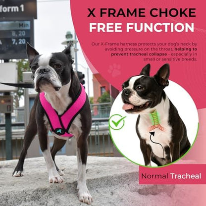 Gooby Comfort X Head-in Dog Harness, Choke-Free, Flamingo Pink, X-Large