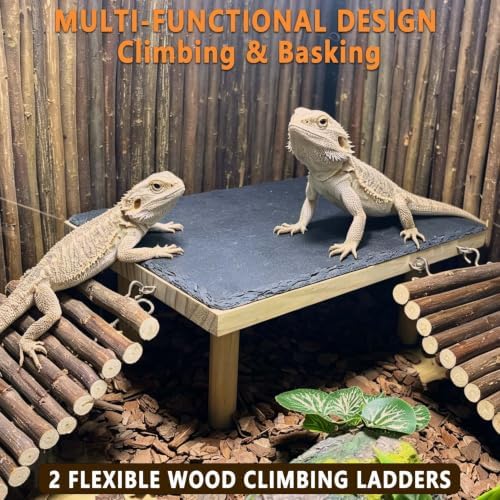 Bearded Dragon Basking Platform with Climbing Ramp,Reptile Basking Rock,M