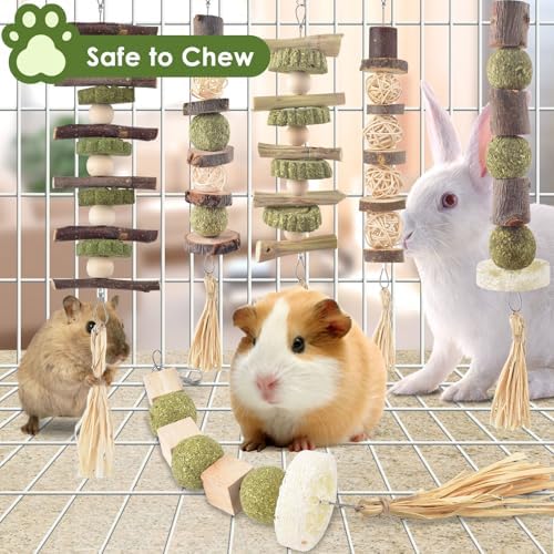 Bissap 6PCS Bunny Chew Toys, Natural Hanging Molar Treats for Small Pets
