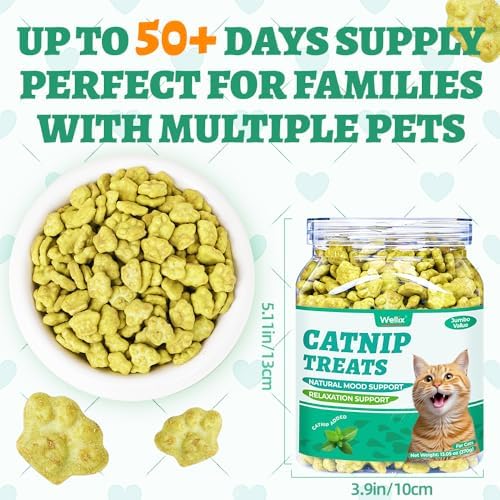 Wellix 13.05 oz Catnip Treats for Cats for Digestive Support