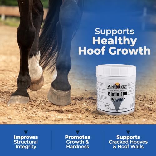 AniMed Biotin 100 Daily Horse Hoof Supplement & Equine Hair Growth Powder 2.5 lbs