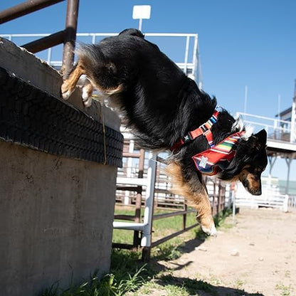Hooey Nomad Walking Harness Serape Tijuana XL