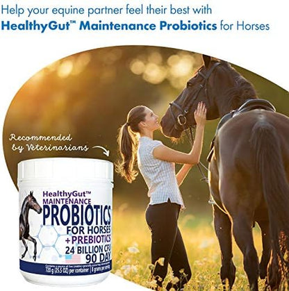 HealthyGut™ Probiotics for Horses Dietary Supplement, All-Natural Digestive System Maintenance Formula (90 Days)