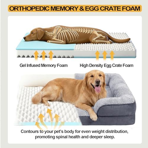 Orthopedic Dog Bed Medium Size Dog, Memory Foam Dog Bed Couch, 30" L