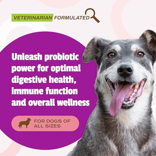 Pet Naturals Daily Probiotic Soft Chews for Dogs, Digestive and Immune Support Supplement, 1 Billion CFU Per Chew, Duck, 160 Count (Pack of 2)