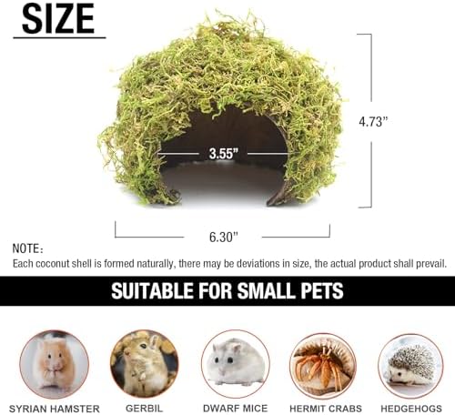 Hamster Hideout - Large, Natural Moss, Handcrafted for Syrian Hamsters, Rats & Guinea Pigs, Safe & Eco-Friendly