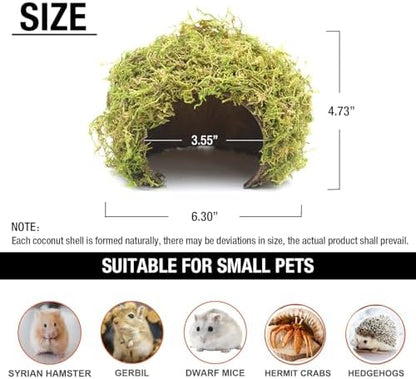 Hamster Hideout - Large, Natural Moss, Handcrafted for Syrian Hamsters, Rats & Guinea Pigs, Safe & Eco-Friendly