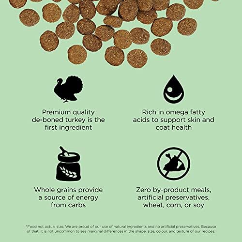 Go! Solutions Skin + Coat Care Turkey Dry Dog Food with Grains, Chicken-Free, Healthy Kibble with Omega-3s & 6s for Soft, Shiny Fur, for Puppies, Adults, & Seniors, 3.5 lb Bag