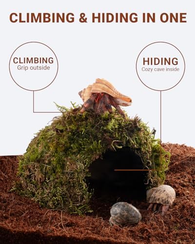 Reptile Hides and Caves – Leopard Gecko Tank Accessories, Natural Dome Reptile Cave & Shelter, Gecko Tank Accessories & Hermit Crab Shelter, Hamster Cage Accessories