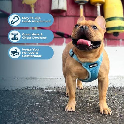 Voyager Step-in Flex Adjustable Dog Harness - Baby Blue, Medium